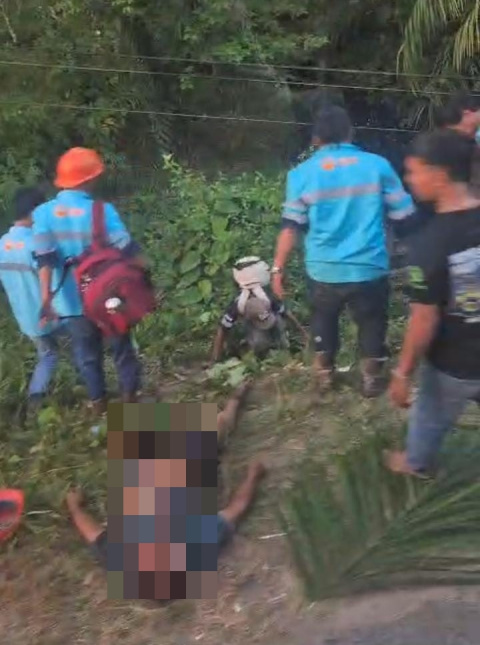 Bus DT dan Pikap Tabrakan di Muara Kintap, Sopir Pikap Dilaporkan Meninggal
