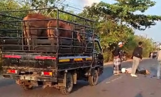 Tabrakan R2-R4 di Trans 300 Jorong, Pengendara Motor Dikabarkan Alami Patah Kaki