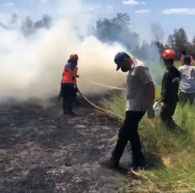 Usai Cek Posko Karhutla, Bupati Tala H Rahmat Langsung ke Lapangan Turun Padamkan Api