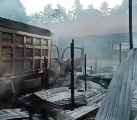 Si Jago Merah Guncang Panggung, Lahap Kandang Ayam dan Truk