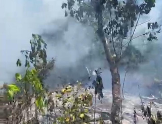 Bakar Lahan di Tengah Maraknya Karhutla, Warga Bajuin Diamankan Polisi