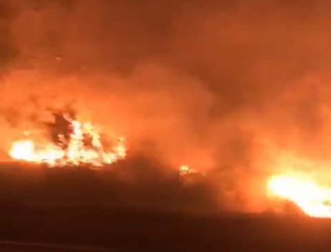4 Hektare Lahan Arah PLTU Terbakar, Damkar Gabungan Berjibaku Jinakkan Api yang Berkobar Masif