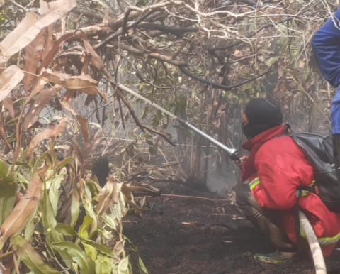 Api Kembali Menyala, Habitat Bekantan Panjaratan Terancam Dua Hari Berturut-turut