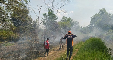 Palmina Bantah Isu Buka Kebun dengan Membakar, Pelaku Karhutla Diburu Berhadiah Rp5 Juta