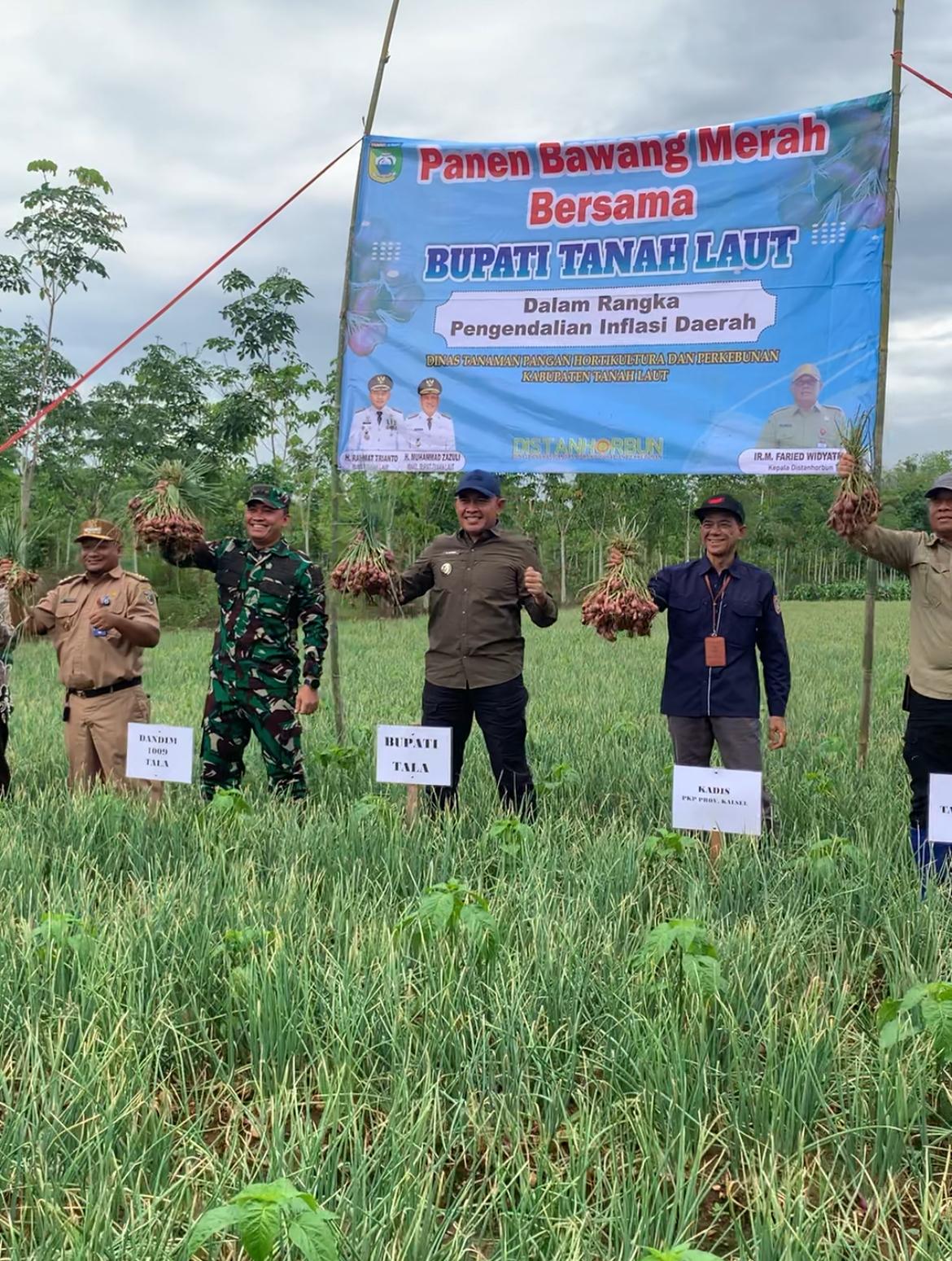 Kendalikan Inflasi, Bupati Rahmat Berkomitmen Dukung Petani Bawang